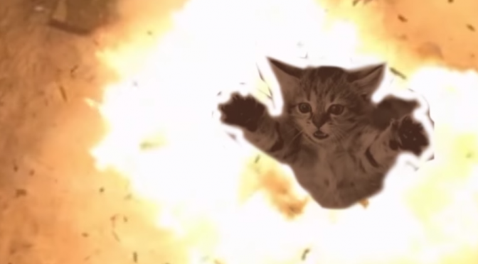 #MeowTheJewels: El-P auditions cats