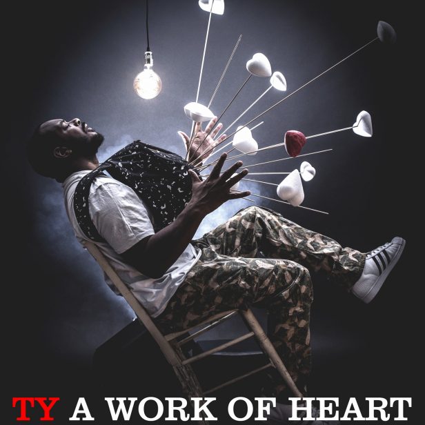 ty-a-work-of-heart