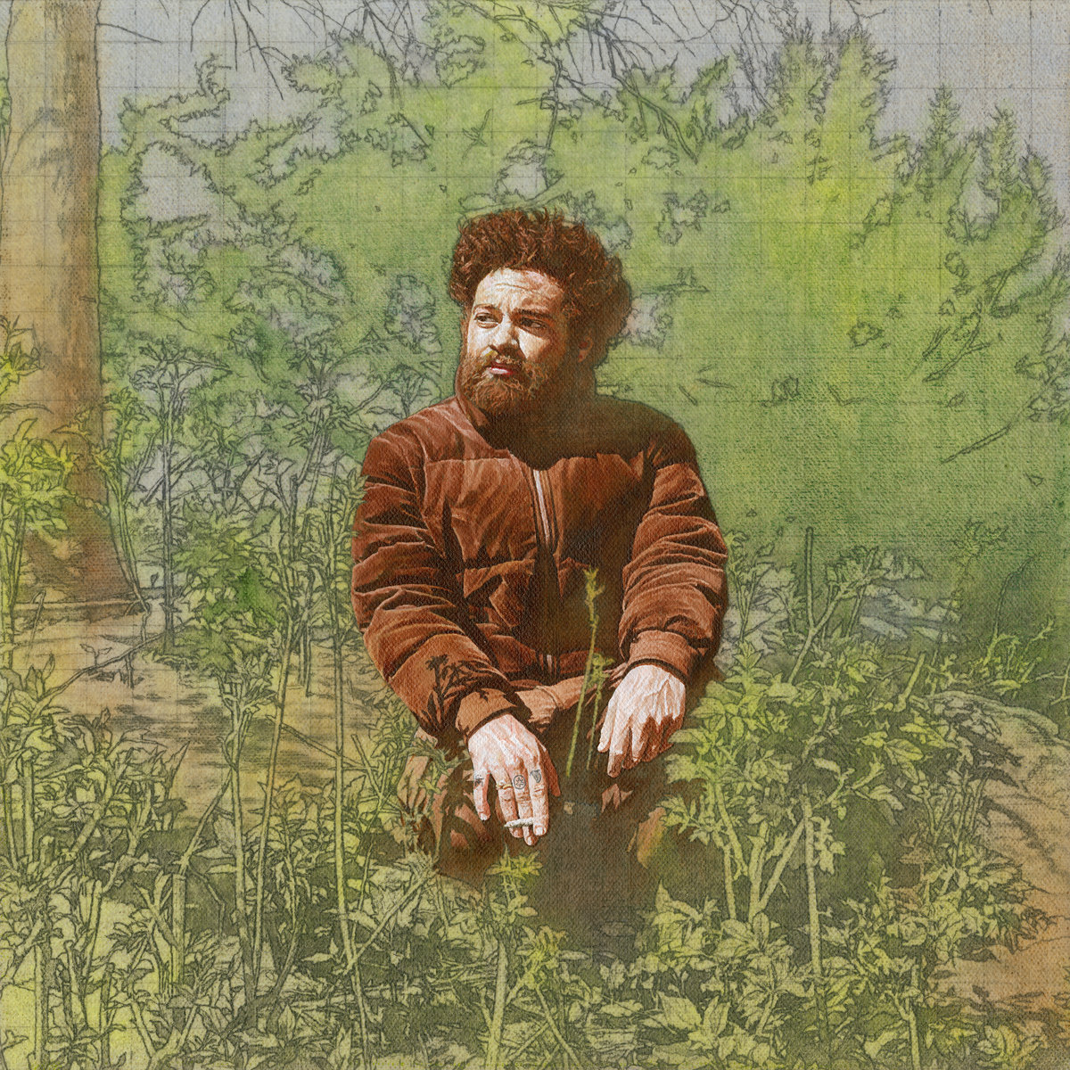 Wiki – Park